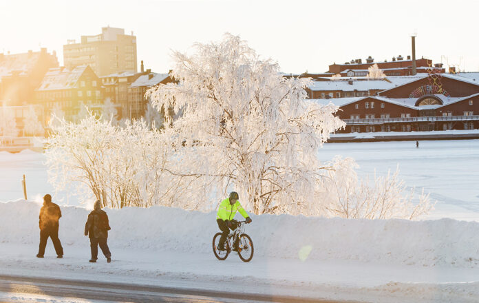 trafikanter_jan_-38c20liten.jpg