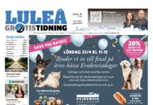 Luleå Gratistidning (vecka 16, 2026)