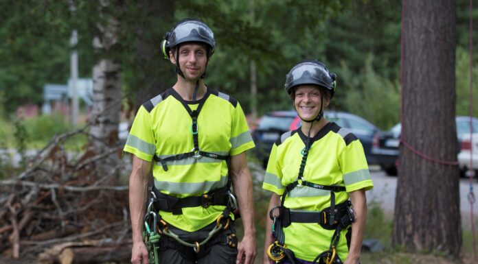 Norrbotten Trädvård i Niemisel – ett företag som bygger framtidens trädvård