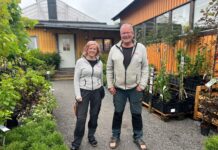 ”Det är mer ett kall än ett jobb” – fyra generationer formar Rutviks handelsträdgård