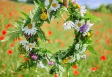 En blomstertid nu kommer – Galären
