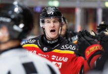Filip Eriksson | All Goals 2025/2026 | SHL