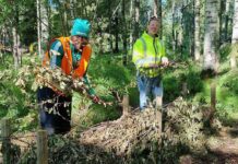 Risormar – berikar naturen och ger nya platser att leka vid
