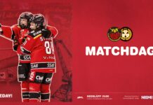 Matchdag! Luleå Hockey/MSSK – Brynäs