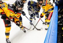 Grahn höll nollan borta mot HV71