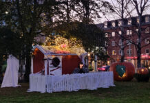 Ljusskygga figurer har flyttat in i Stadsparken