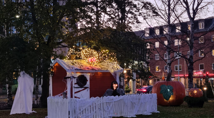 Ljusskygga figurer har flyttat in i Stadsparken