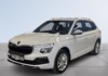 Skoda Kamiq 1.0 TSI Selection Drag/Kamera/MoK/LED-ramp/S&V- Däck