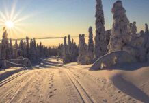 Pajala ansluter till Naturkartan – Pajala kommun