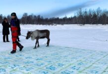 Norrskensfestivalen 22-25 februari – Pajala kommun