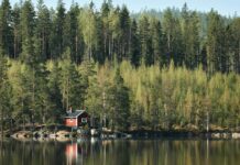 Stora skillnader när strandskyddsdispenser kontrolleras – så många godkänns i Pajala