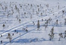 Vasaloppet: Kommunrekordet är från 2022 – 20 Pajalalöpare ska försöka slå det