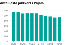 Efter flera års nedgång – fler jägare i Pajala