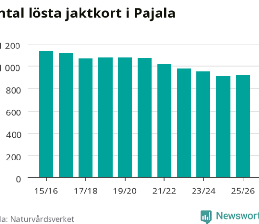 Efter flera års nedgång – fler jägare i Pajala