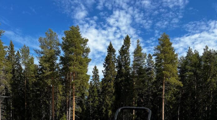 Greenerna är nu framme och vi har påbörjat jobbet med att att vårstäda hela bana…