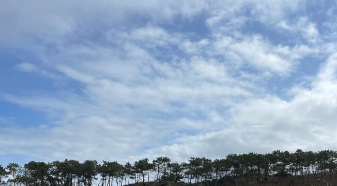Vilken härlig vecka vi hade i Portugal! Nu är vi redo för en ny golfsäsong. Har…