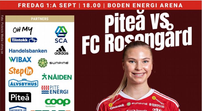Äntligen omstart för Piteå Dam