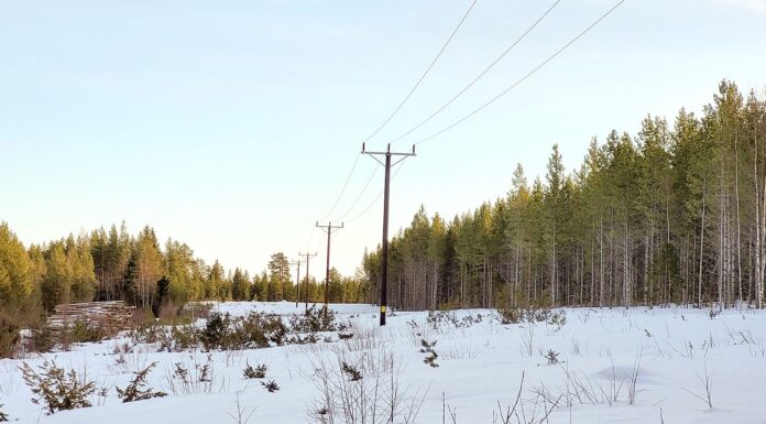 Ny kraftledning mellan Sjulnäs och Hortlax – ett av Piteås viktigaste infrastrukturprojekt