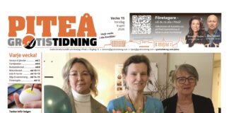 Piteå Gratistidning (vecka 15, 2026)