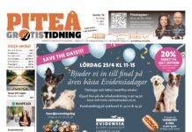 Piteå Gratistidning (vecka 16, 2026)
