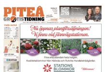 Piteå Gratistidning (vecka 22, 2026)