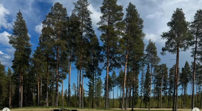 Uppdatering från banan av banpersonalen