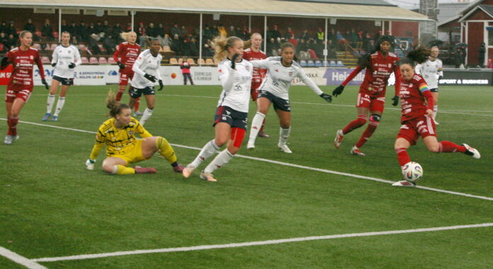 0eda049a18ead7aafb13d14f1f788ab3f866983abd25a535876547c663f3fdb5_L.jpg