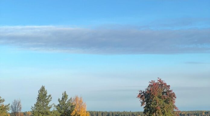 Hösten är nu här på riktigt och det ser ut att bli kallare väder framöver vilket…