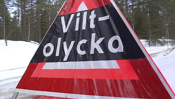 polis-viltolycka-vinter