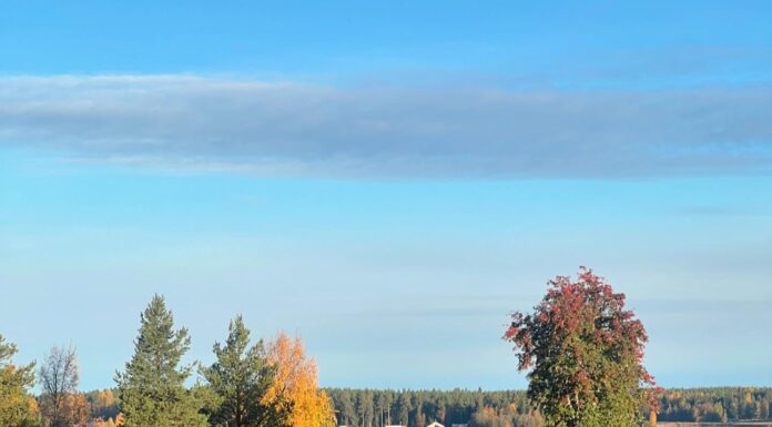 Säsongen börjar lida mot sitt slut. Väderprognosen framöver ser dyster ut med ne…