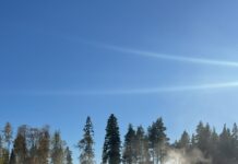 Idag har vi börjat tömma bevattningssystemet och under morgondagen börjar vi blå…
