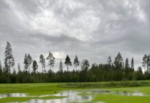 Fortsatt golfbilsförbud
Det är fortfarande mycket blött ute på banan och på f…