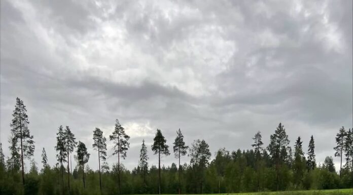 Fortsatt golfbilsförbud
Det är fortfarande mycket blött ute på banan och på f…