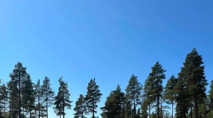 Snabb info från banpersonalen.
Vår bunkerkratta som vi använder för att maskinel…