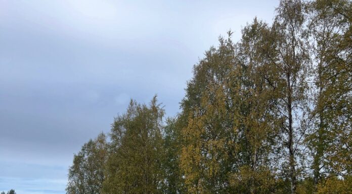 Hallå där! Här kommer en snabb uppdatering från oss som jobbar ute på banan!
Nu …