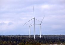 Prognos: Mildare väder kan sänka elpriserna i mars