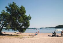 Allt högre betyg på badvattnet i Sverige – så är strandkvaliteten i Umeå