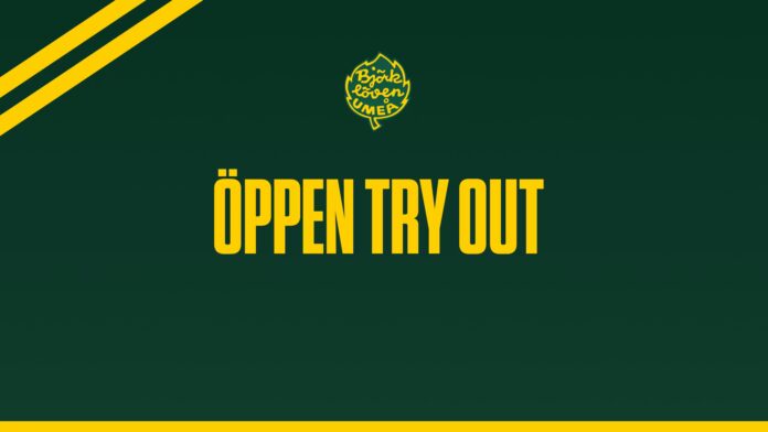 14b43c24-63f5-4b1c-b852-f7db989308f8tryoutwebb.jpg