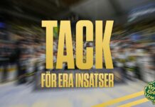 Nio spelare lämnar Björklöven