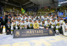 Fira med Björklöven