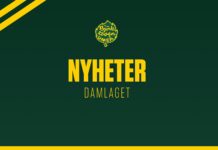 Tretton spelare lämnar Björklöven Dam