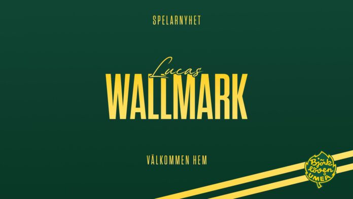 6cdbd982-f162-4ff7-a7f4-177966fa17fdKCWebbLW.jpg