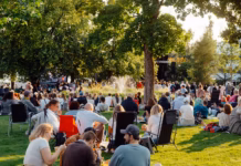 Sommarparken tar plats i Döbelns park – sex veckor fyllda med aktiviteter och upplevelser