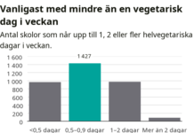 Kött dominerar lunchmenyerna – få helvegetariska dagar på Umeås skolor