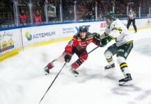 HIGHLIGHTS: Luleå vs. Björklöven | 2026-10-29
