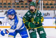 Förlust hemma mot Leksand | Björklöven