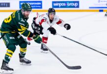 Förlust hemma mot Malmö Redhawks