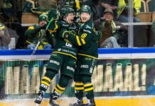 Björklöven vann hemma mot Frölunda HC