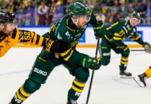 TUNG HEMMAFÖRLUST MOT SKELLEFTEÅ | Björklöven