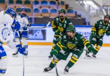 Två tidiga mål avgjorde mot Leksands IF